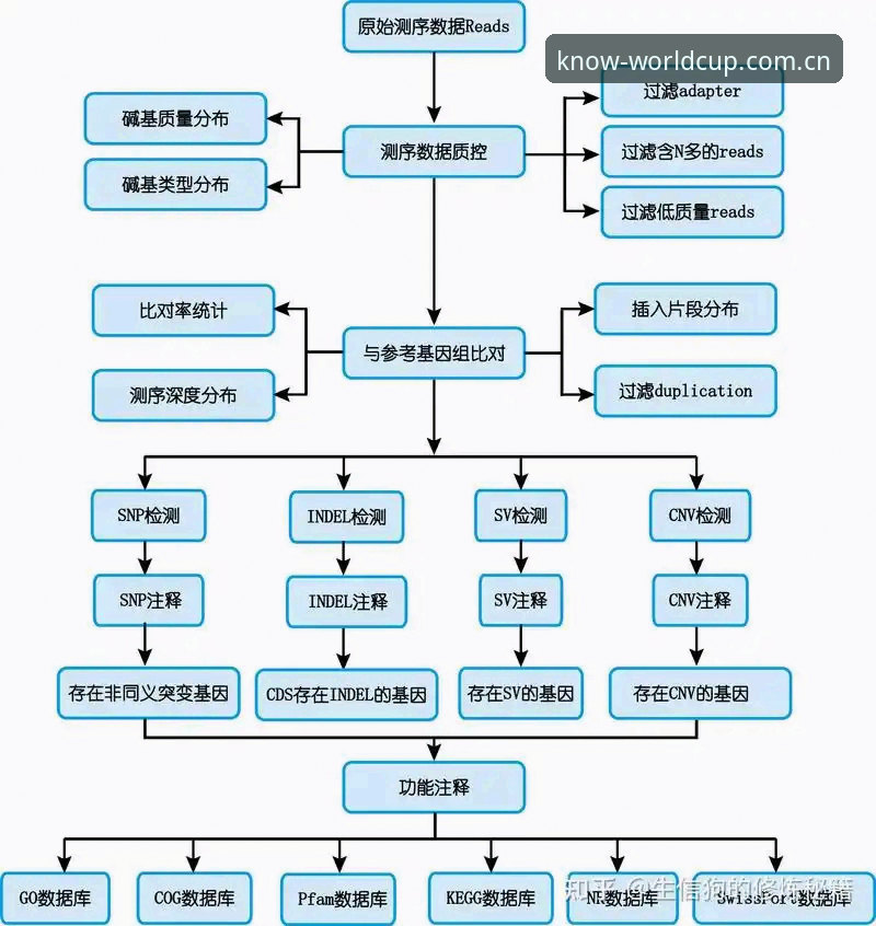 懂的人自然会来v3.0赛事数据更新 从72%到31%——这组数据对比的时间跨度不过43天。懂的人自然会来v3.0版本上线后,官方流量统计系统中“跨境登录失败”的报错率下降了41个百分点。安装包大小约45.2 MB,比2.1版本缩减了13%。这不是一次简单的补丁推送。2026年视觉系统的适配,赛事数据接口的底层重构,以及对旧版APP兼容问题的定向处理——v3.0所做的更新,决定了谁还在观望,谁已经入场。