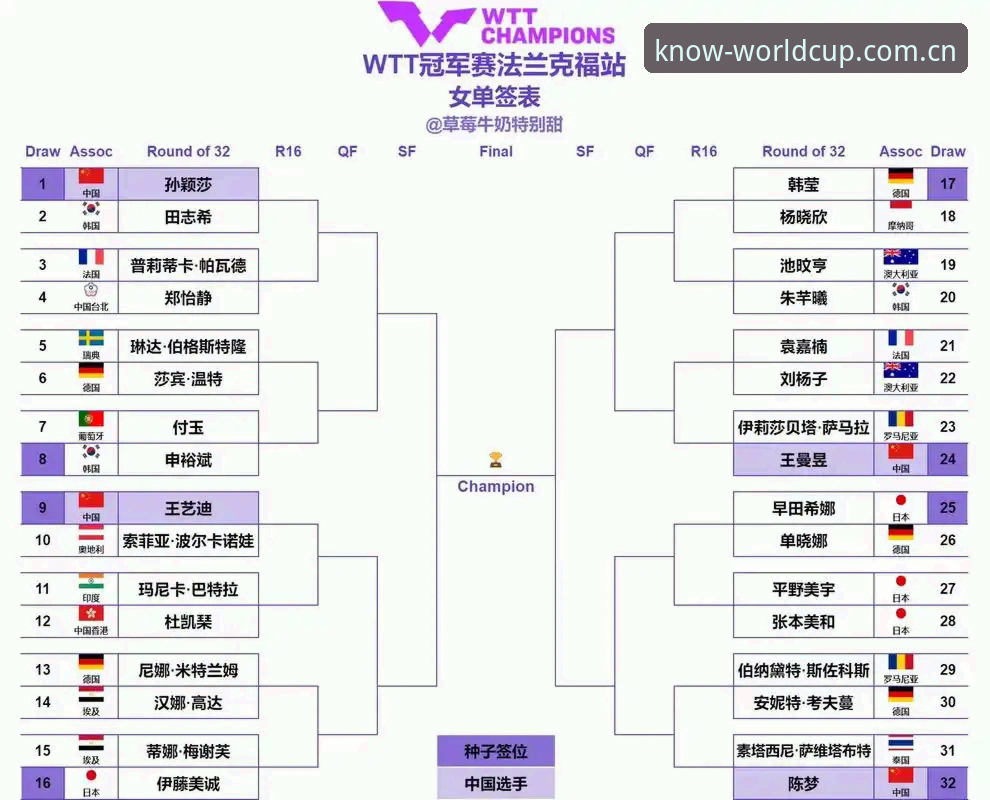 懂的人自然会来跨境登录修复CN必备 法网女单决赛观赛指南:从8号种子到冠军,安德列娃的夺冠之路与平台避坑技巧